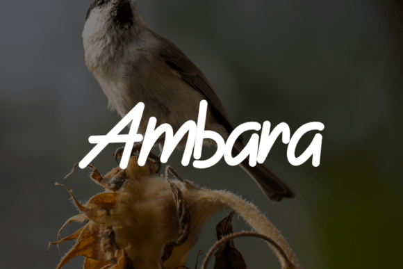 Ambara: The Font That Quietly Elevates Your Brand