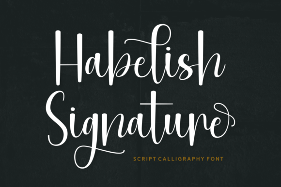 Habelish Signature: A Script Font for Memorable Branding