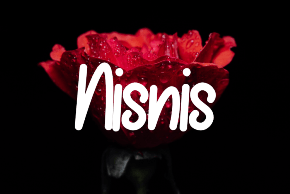 Nisnis: A Typeface Built for Editorial Moments