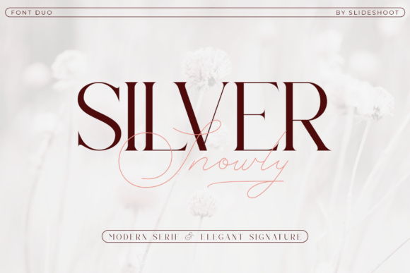 Silver Snowly: A Font for Making Your Business Look Elegant
