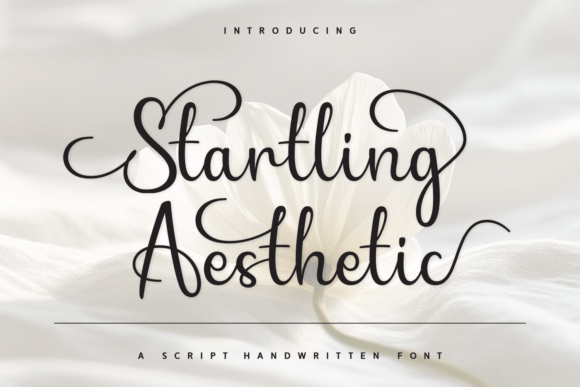 Startling Aesthetic: A Refined Script Font for Publishing